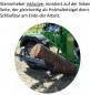 Preview: Thor Holzspalter Farmer V 13 t mit fester Zapfwellenpumpe Neues Modell